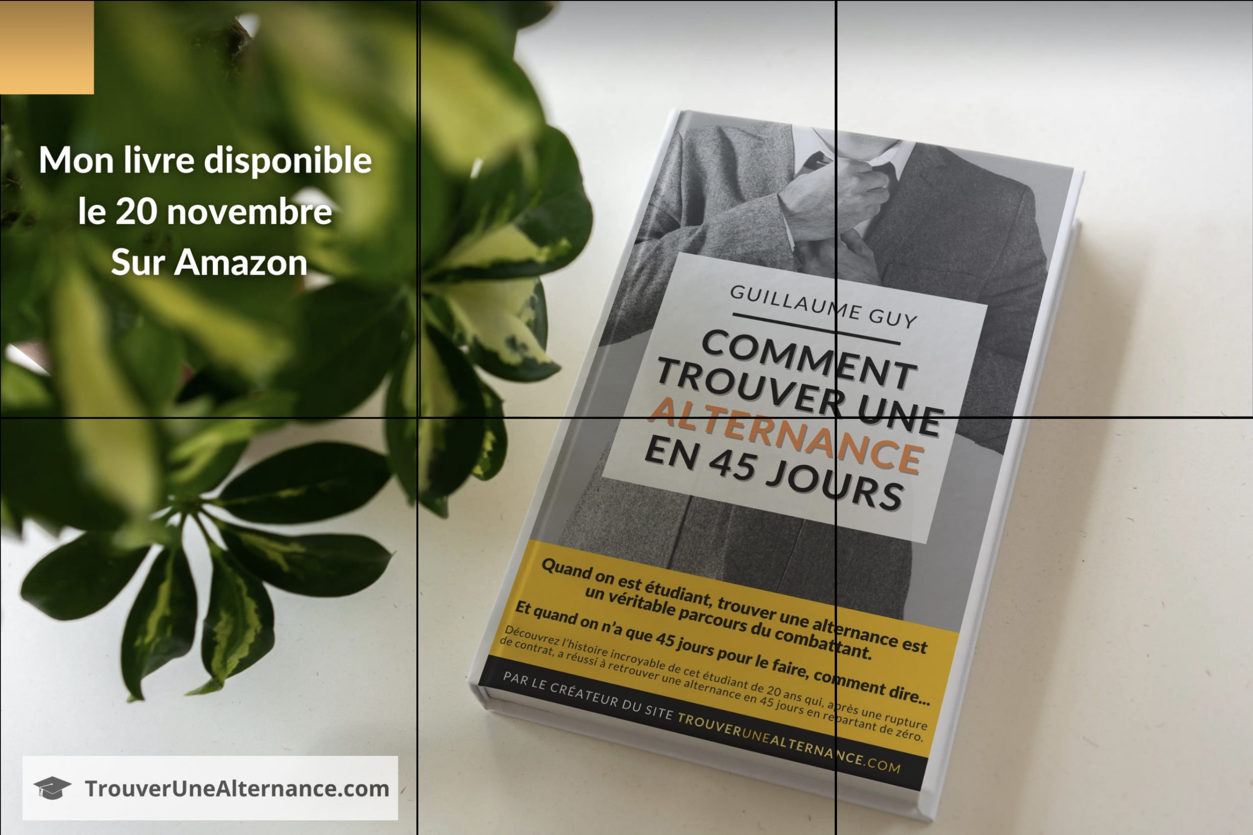 Couverture du livre Comment trouver une alternance en 45 jours