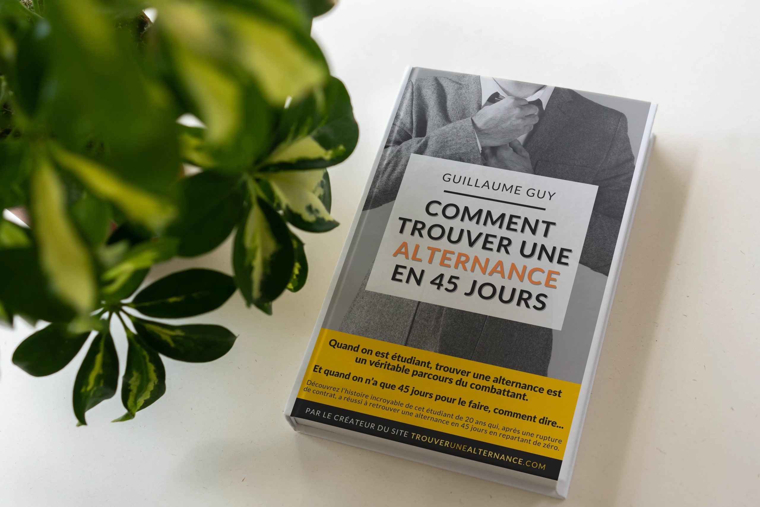 Couverture du livre Comment trouver une alternance en 45 jours